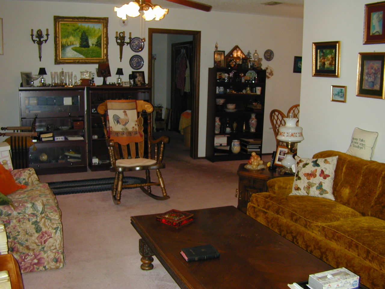 DSCN0017 Ham Radio Friendly Homes For Sale